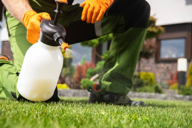 Best Flea Control Services  in Panther Valley, NJ