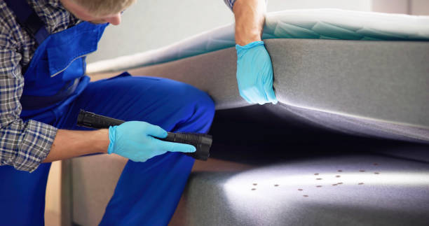 Best Wasp Removal Services  in Panther Valley, NJ