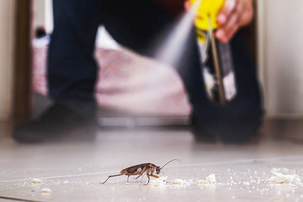 Best Best Pest Control Companies  in Panther Valley, NJ
