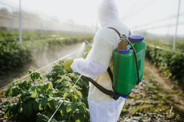 Best Pest Inspection Near Me  in Panther Valley, NJ